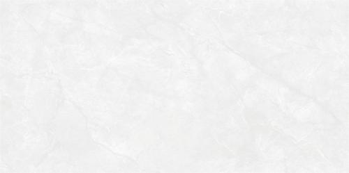 QG12W117科羅拉_04
