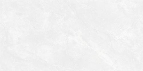 QG12W117科羅拉_06