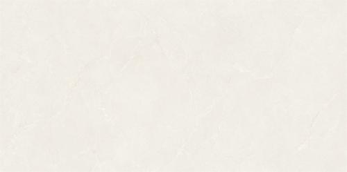 QR15W119沁園春金絲絨_04