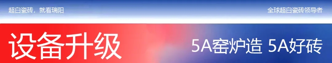 11.webp.jpg